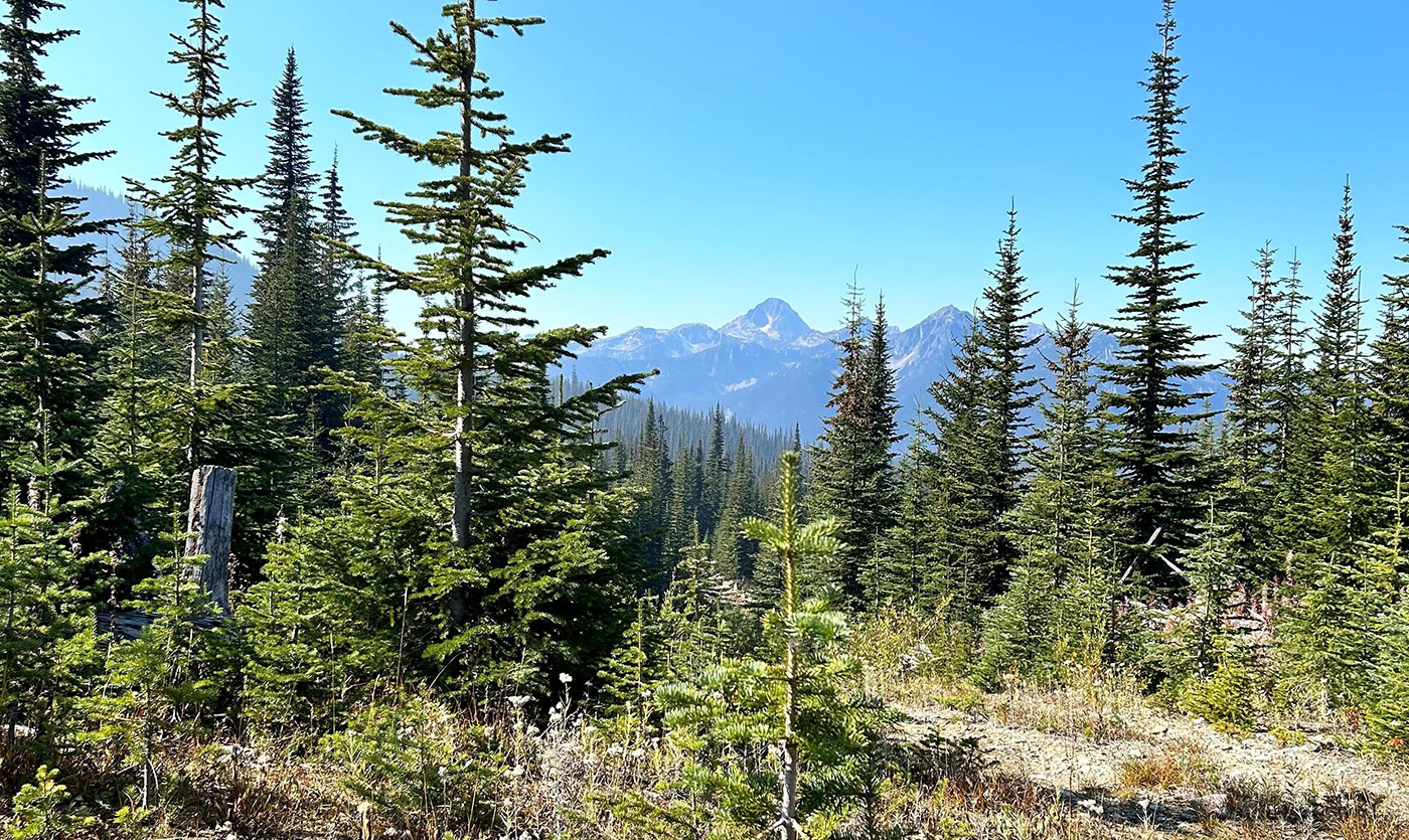 The Rocky Mountain Goat: Yellowhead Copper Mine Moves Forward in Approval Process