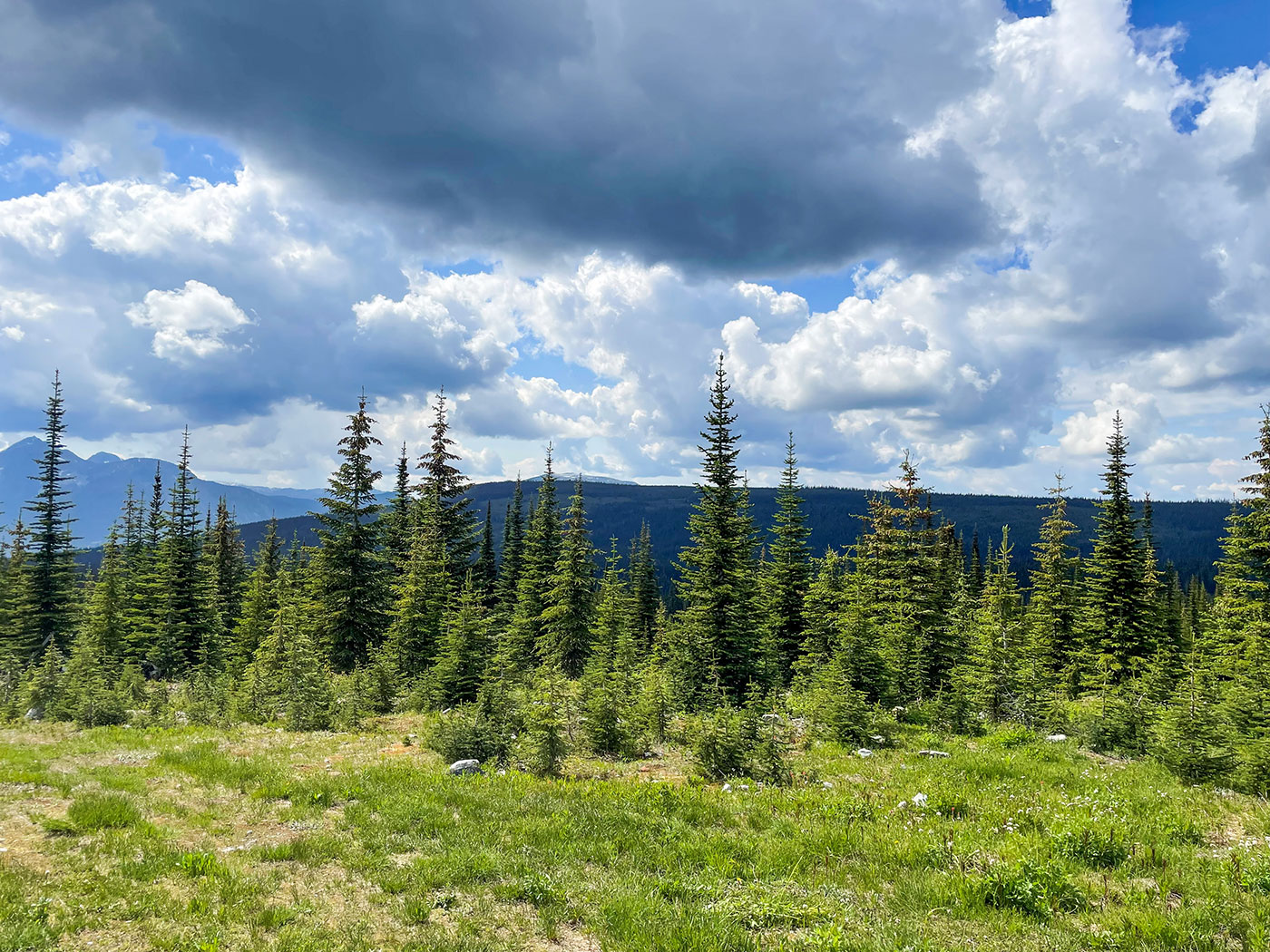 Vancouver Sun: B.C. company starts approval process for new major mine northeast of Kamloops